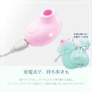 Micronizer（ミクロナイザー）ピンク　　11月下旬入荷予定の画像（10）