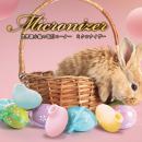Micronizer（ミクロナイザー）ピンク　　の画像（1）