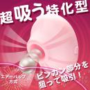 Micronizer（ミクロナイザー）ピンク　　11月下旬入荷予定の画像（3）