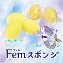 人工海綿　Femスポンジ（10個入)　　　の画像（1）