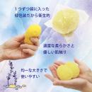 人工海綿　Femスポンジ（2個入)　　の画像（3）