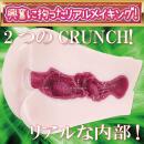 Precious:リアリズム クランチ（中型ホール）  498