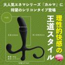 シリコンカルマ（リーズン）　　7/中旬予定の画像（1）