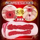 新 熟女の星 山岸逢花の秘部完全レプリカ　　４/下旬頃予定の画像（4）