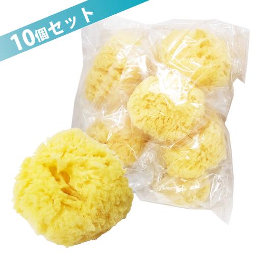 天然海綿 (大粒) 10個入り OPEN価格 天然海綿 (大粒) 10個入り