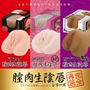 膣肉生陰唇 ミニマムの画像（6）