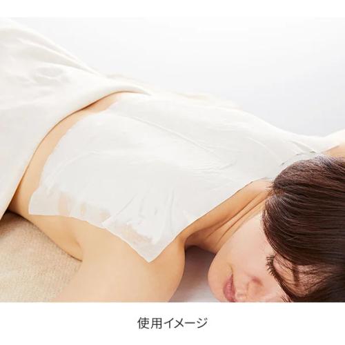 高保水デコルテシート (長方形タイプ) 38×24cm　80枚入