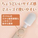 いつものデンマ（ベージュ）の画像（3）