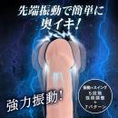 極挿ワイヤレス（ヘッドバイブ）の画像（2）