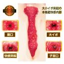 AV ONA CUP PREMIUM 【プレミアム】 NO.04 神宮寺ナオの画像（1）