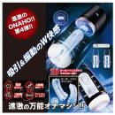 進激のONAHO!! 4 Dark Samurai　　の画像（2）