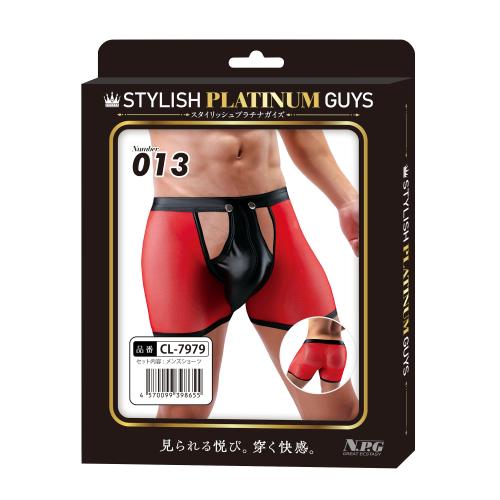 スタイリッシュプラチナガイズNumber（013）