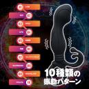 バックファイアー（エレクトリックエネマ）の画像（2）