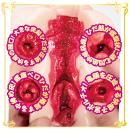 AVミニ名器（美園和花）の画像（6）