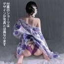 GB-821　ツヤツヤ着物の画像（1）