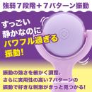コロンパ（パープル）の画像（3）