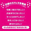 ＲＩＤＥＪＡＰＡＮ　おっぱいボールの画像（5）