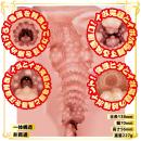 淫穴 秘密倶楽部 副部長 結愛の画像（8）