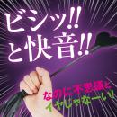 快感ウィップ（２WAYハート鞭）の画像（1）