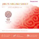 JIBUN　MIGAKI　SHEET（02）Karakusaの画像（1）