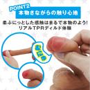 僕っ子　男子のふにゃちん　皮かぶりタイプの画像（4）